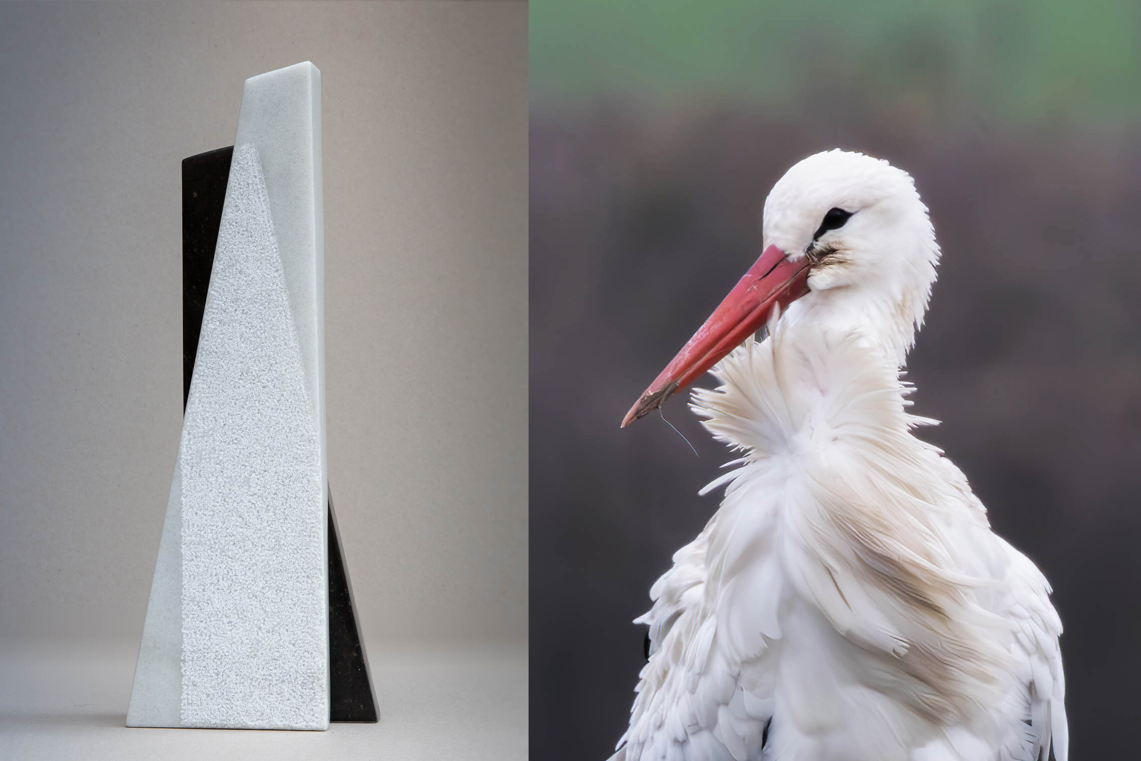 Symbiose: een duo expositie